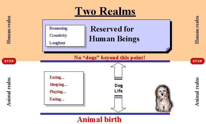 Creativity Laughter No “dogs” beyond this point! STOP Animal realm Reserved for Human Beings