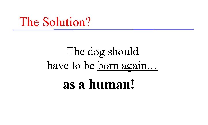 The Solution? The dog should have to be born again… as a human! 