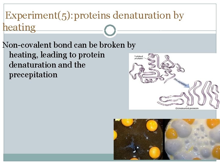 Experiment(5): proteins denaturation by heating Non-covalent bond can be broken by heating, leading to