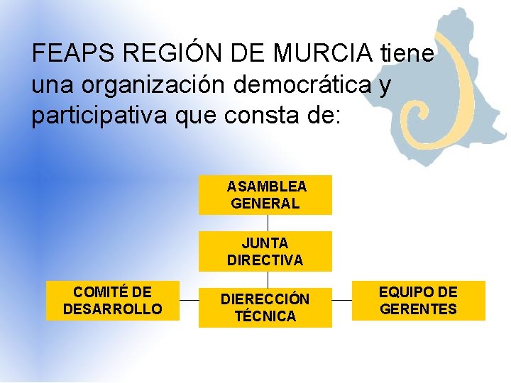 FEAPS REGIÓN DE MURCIA tiene una organización democrática y participativa que consta de: ASAMBLEA