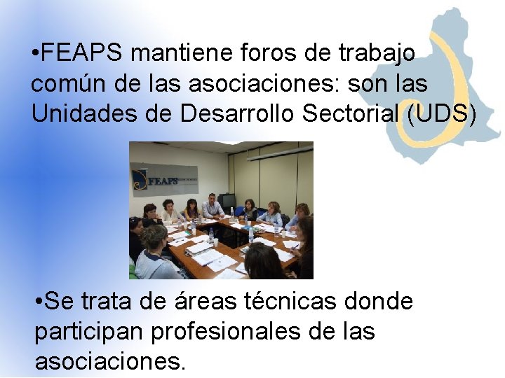  • FEAPS mantiene foros de trabajo común de las asociaciones: son las Unidades