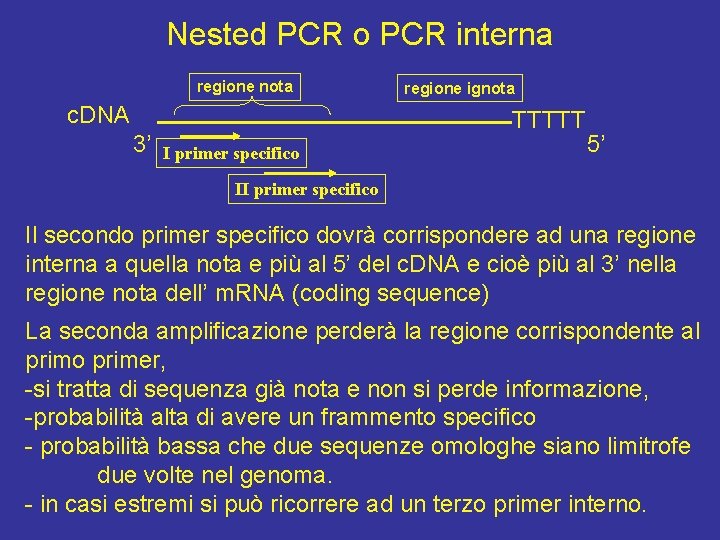 Nested PCR o PCR interna regione nota c. DNA 3’ regione ignota TTTTT I