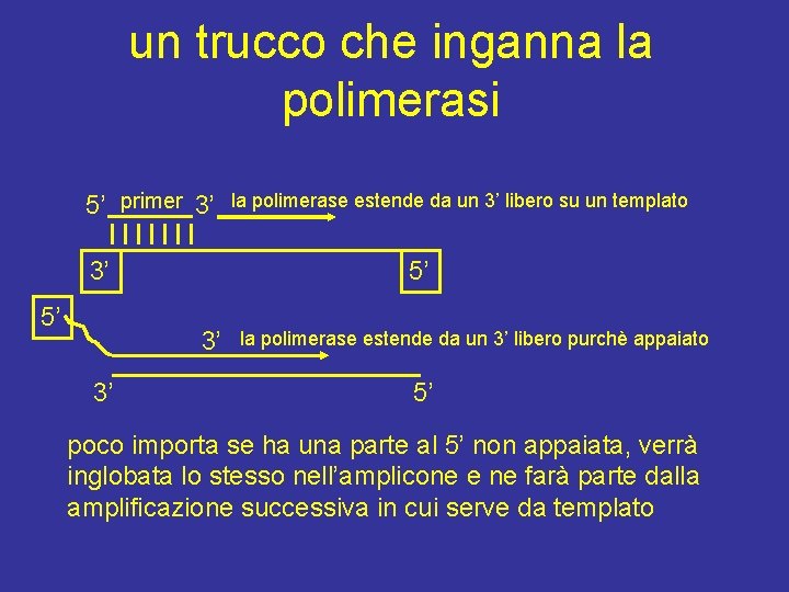 un trucco che inganna la polimerasi 5’ primer 3’ 3’ 5’ 5’ 3’ 3’