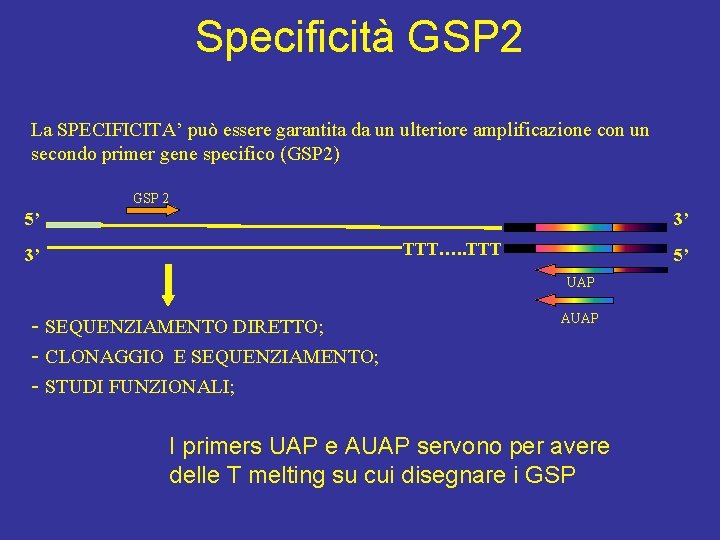 Specificità GSP 2 La SPECIFICITA’ può essere garantita da un ulteriore amplificazione con un