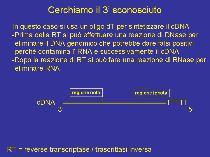 Cerchiamo il 3’ sconosciuto In questo caso si usa un oligo d. T per