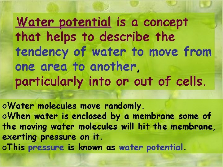 Water potential is a concept that helps to describe the tendency of water to