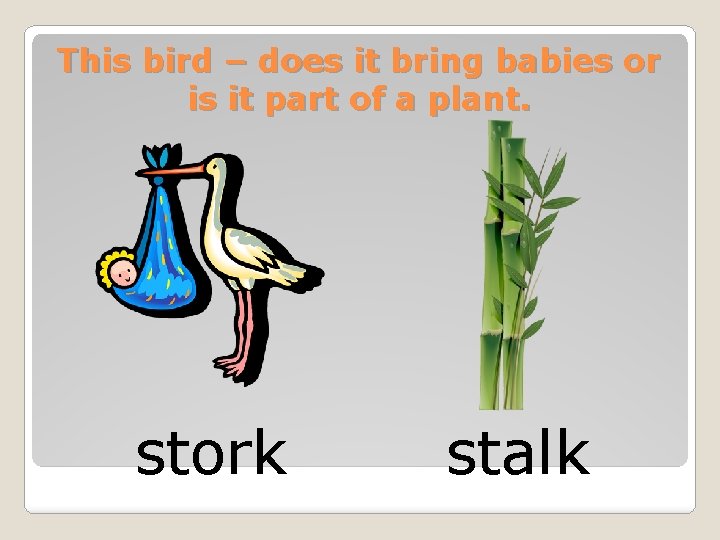 This bird – does it bring babies or is it part of a plant.