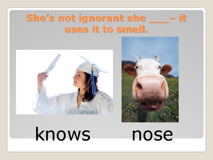 She’s not ignorant she ___– it uses it to smell. knows nose 