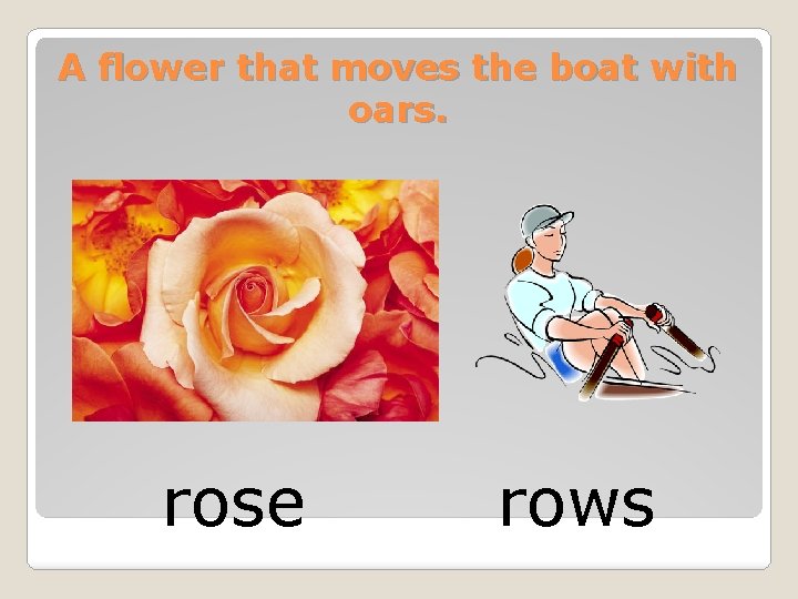 A flower that moves the boat with oars. rose rows 