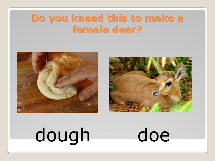 Do you knead this to make a female deer? dough doe 