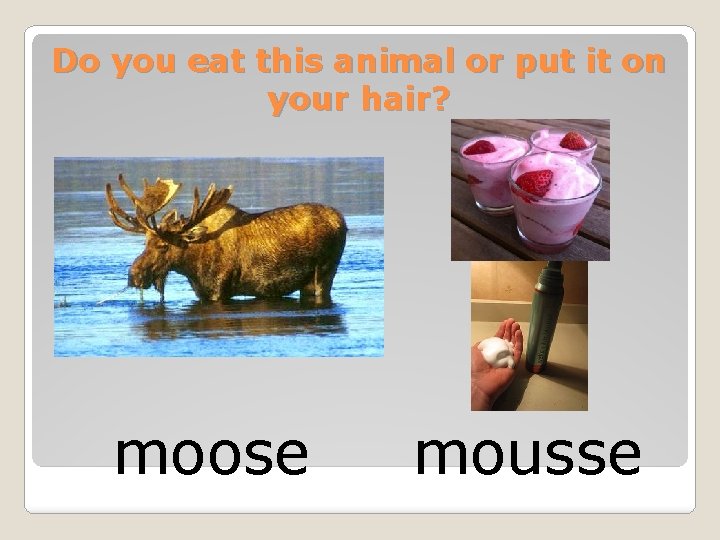 Do you eat this animal or put it on your hair? moose mousse 