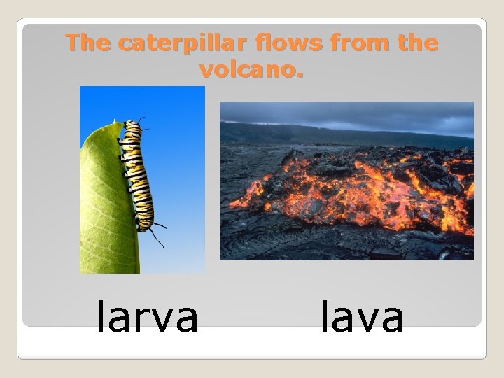 The caterpillar flows from the volcano. larva lava 