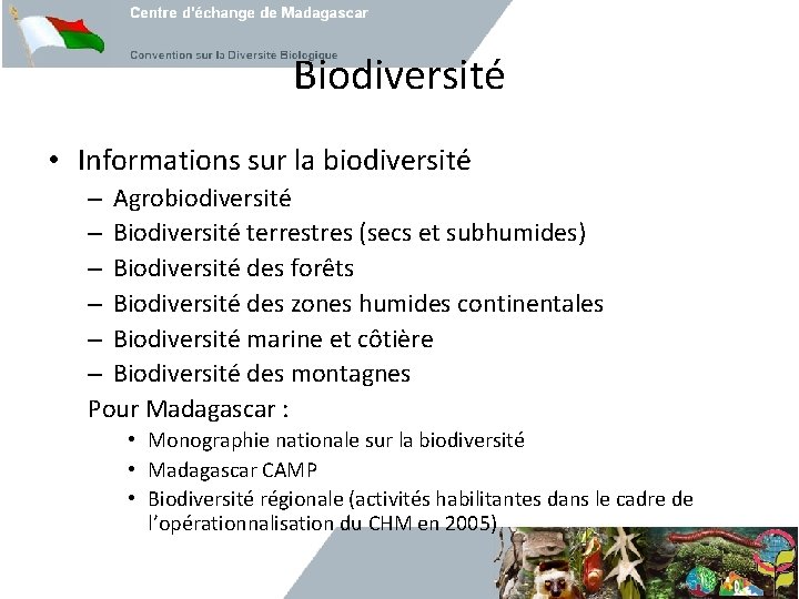 Biodiversité • Informations sur la biodiversité – Agrobiodiversité – Biodiversité terrestres (secs et subhumides)