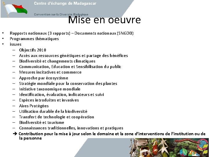 Mise en oeuvre • • • Rapports nationaux (3 rapports) – Documents nationaux (SNGDB)