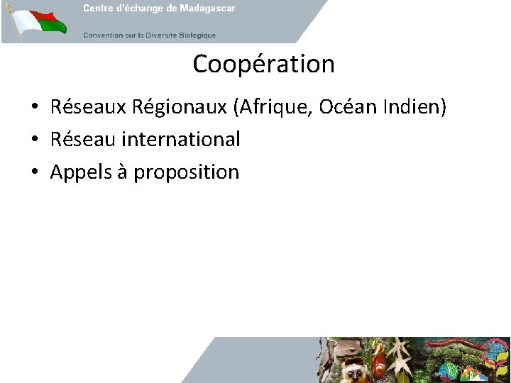 Coopération • Réseaux Régionaux (Afrique, Océan Indien) • Réseau international • Appels à proposition