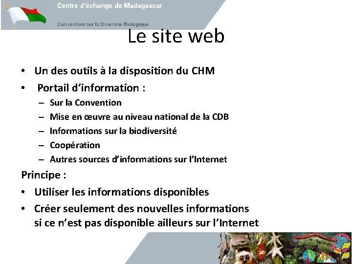 Le site web • Un des outils à la disposition du CHM • Portail