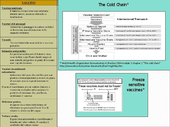 The Cold Chain* * World Health Organization Immunization in Practice 2004 module 3 chapter