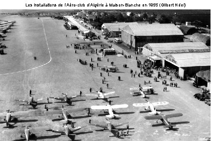 Les installations de l’Aéro-club d’Algérie à Maison-Blanche en 1955 (Gilbert Nëel) 