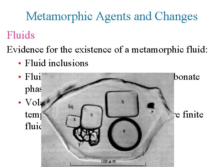 Metamorphic Agents and Changes Fluids Evidence for the existence of a metamorphic fluid: •
