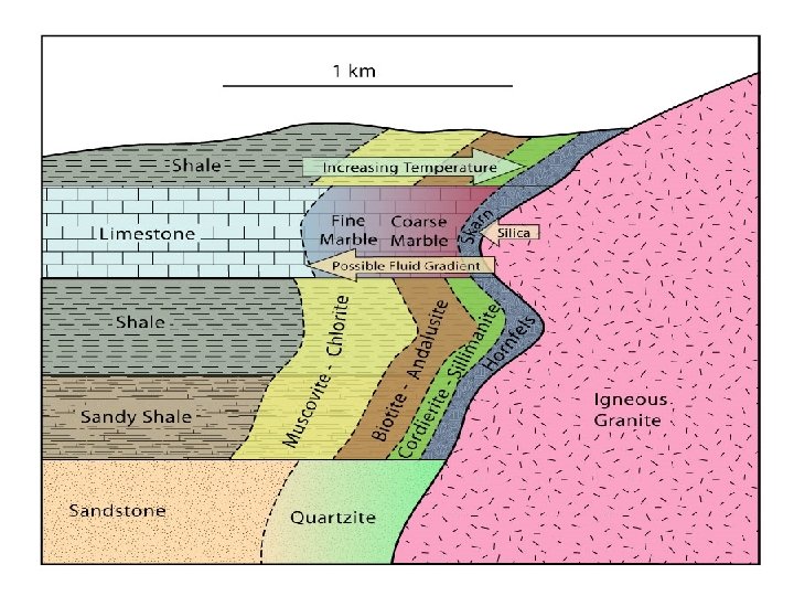 Contact Metamorphism • Adjacent to igneous intrusions • Thermal (± metasomatic) effects of hot