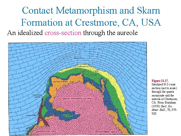 Contact Metamorphism and Skarn Formation at Crestmore, CA, USA An idealized cross-section through the
