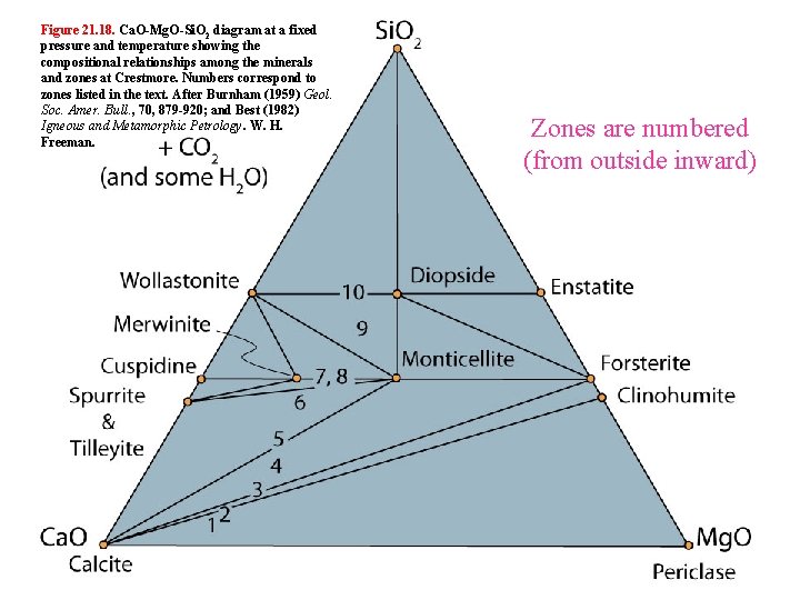 Figure 21. 18. Ca. O-Mg. O-Si. O 2 diagram at a fixed pressure and