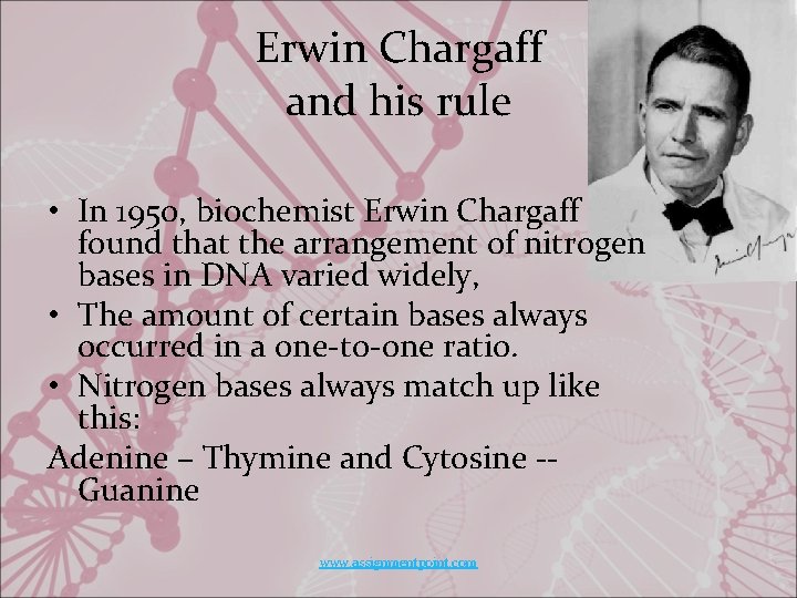 Erwin Chargaff and his rule • In 1950, biochemist Erwin Chargaff found that the