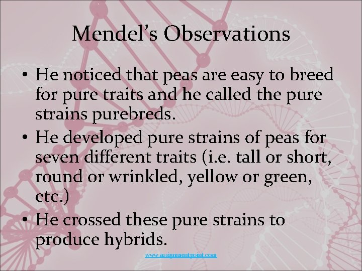 Mendel’s Observations • He noticed that peas are easy to breed for pure traits
