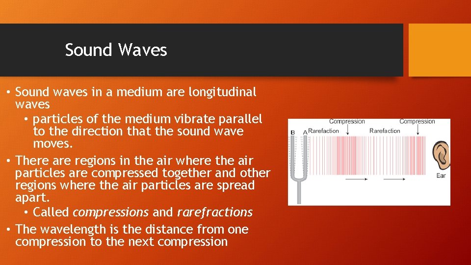 Sound Waves • Sound waves in a medium are longitudinal waves • particles of