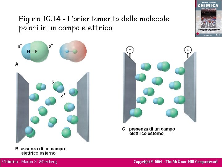 Figura 10. 14 - L’orientamento delle molecole polari in un campo elettrico Chimica -