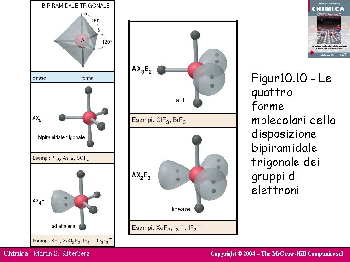 Figur 10. 10 - Le quattro forme molecolari della disposizione bipiramidale trigonale dei gruppi