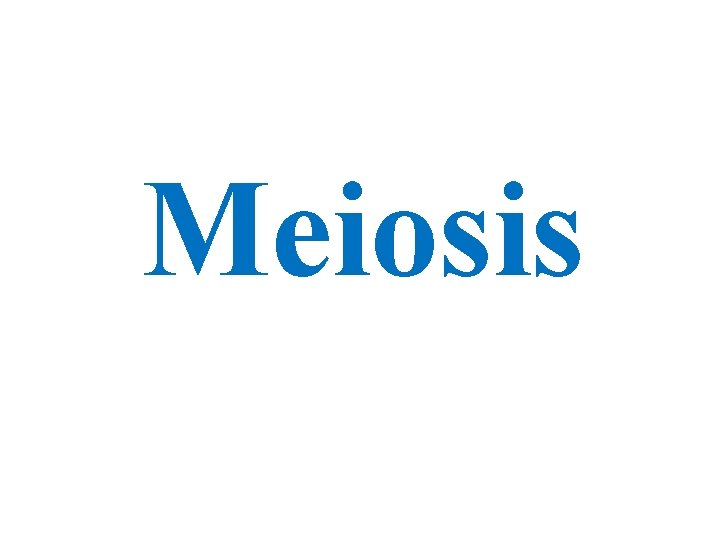 Meiosis 