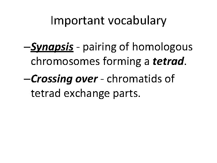 Important vocabulary –Synapsis - pairing of homologous chromosomes forming a tetrad. –Crossing over -