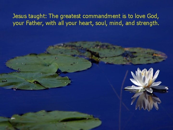 Jesus taught: The greatest commandment is to love God, your Father, with all your