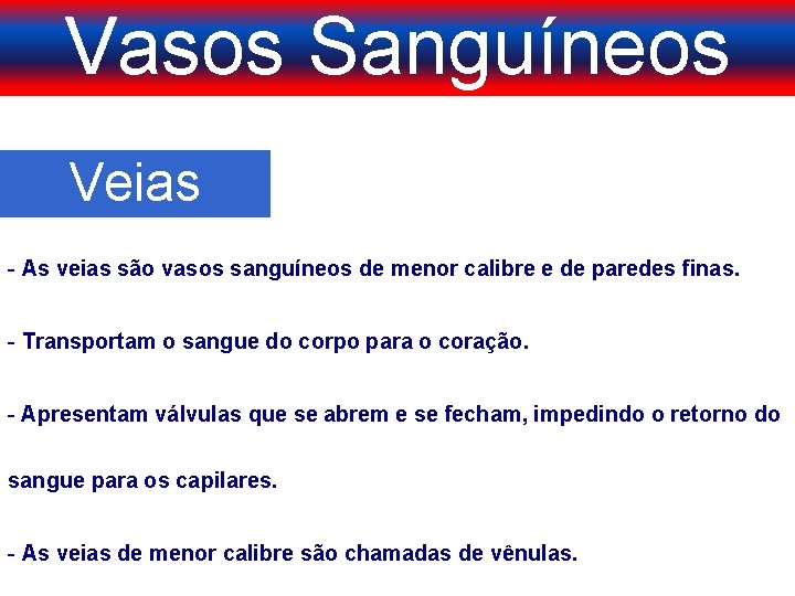 Vasos Sanguíneos Veias - As veias são vasos sanguíneos de menor calibre e de