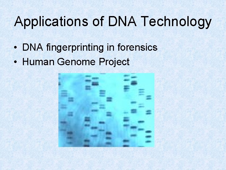 Applications of DNA Technology • DNA fingerprinting in forensics • Human Genome Project 