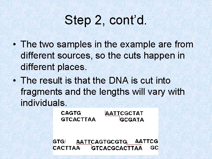 Step 2, cont’d. • The two samples in the example are from different sources,