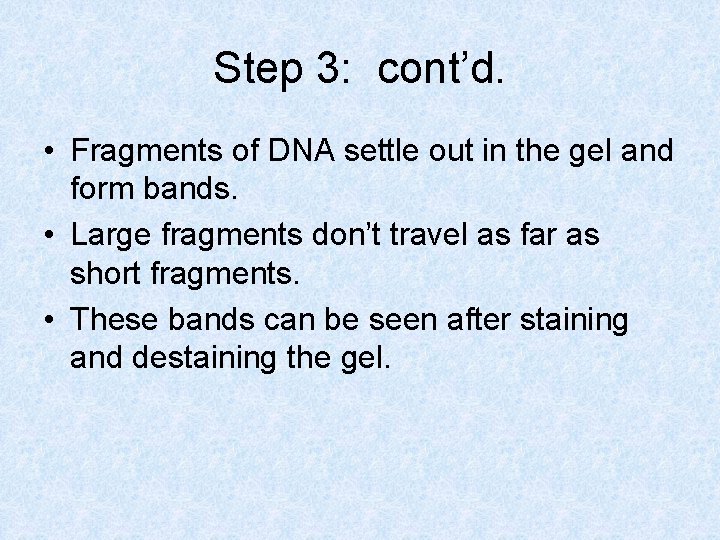 Step 3: cont’d. • Fragments of DNA settle out in the gel and form
