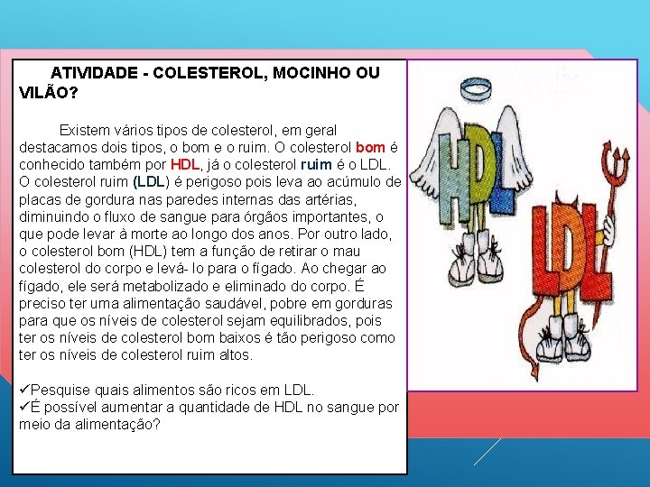 ATIVIDADE - COLESTEROL, MOCINHO OU VILÃO? Existem vários tipos de colesterol, em geral destacamos