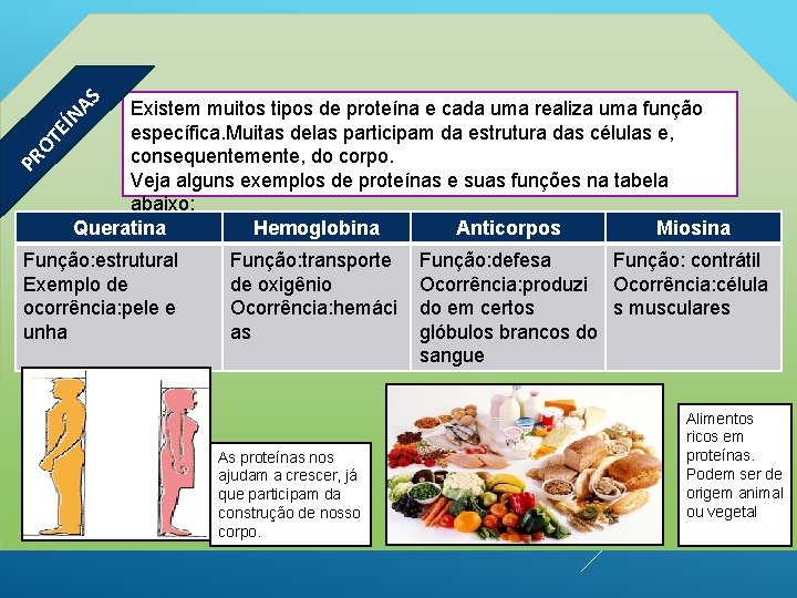 AS PR OT E ÍN Existem muitos tipos de proteína e cada uma realiza