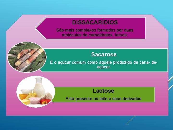 DISSACARÍDIOS São mais complexos formados por duas moléculas de carboidratos, temos: Sacarose É o