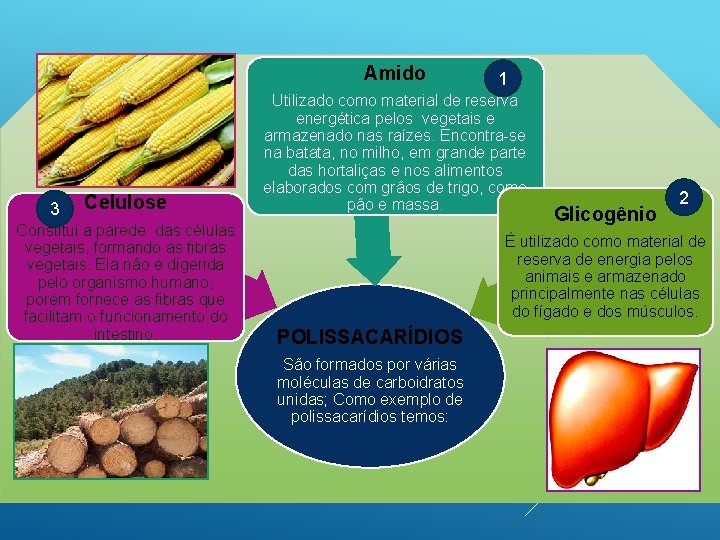 Amido 3 Celulose Constitui a parede das células vegetais, formando as fibras vegetais. Ela