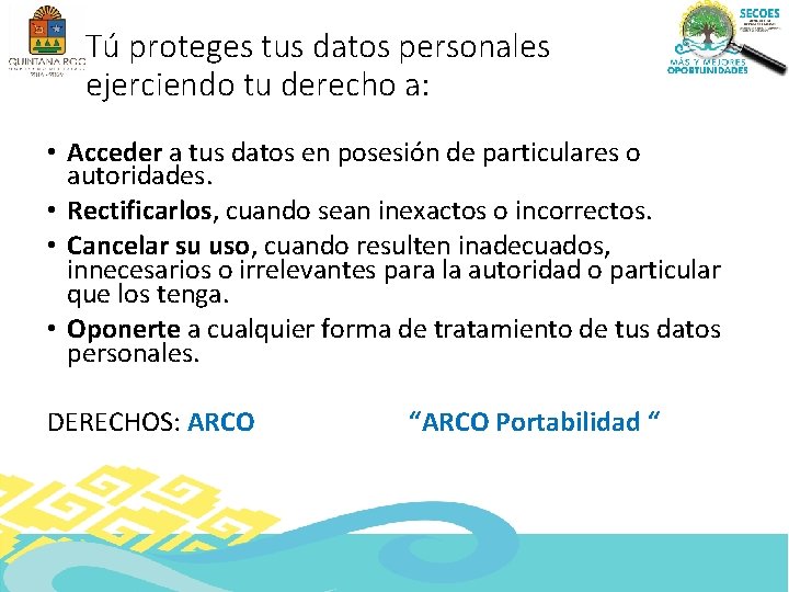 Tú proteges tus datos personales ejerciendo tu derecho a: • Acceder a tus datos