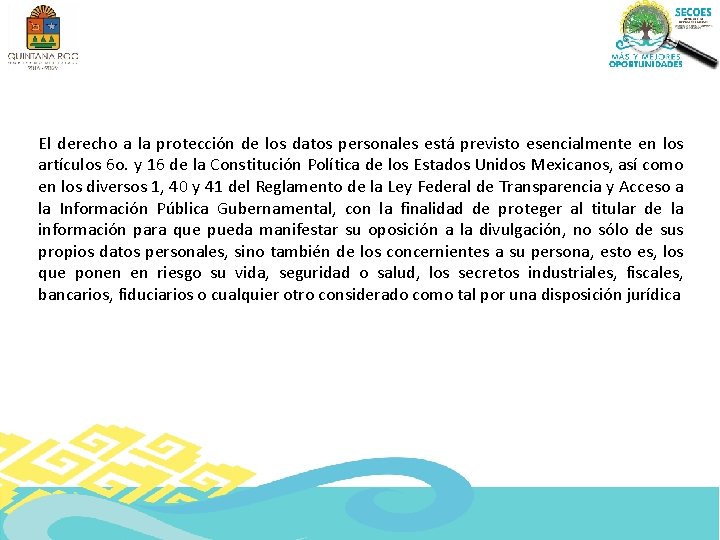 El derecho a la protección de los datos personales está previsto esencialmente en los