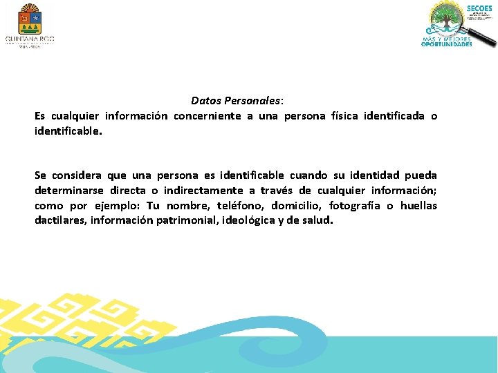 Datos Personales: Es cualquier información concerniente a una persona física identificada o identificable. Se