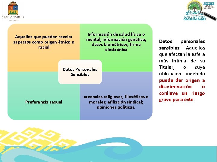 Aquellos que puedan revelar aspectos como origen étnico o racial Información de salud física