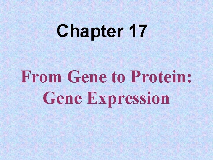 Chapter 17 From Gene to Protein: Gene Expression 