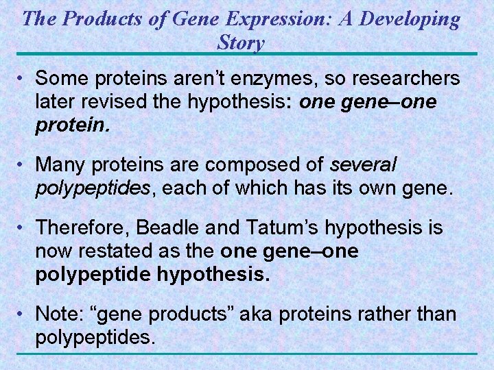 The Products of Gene Expression: A Developing Story • Some proteins aren’t enzymes, so