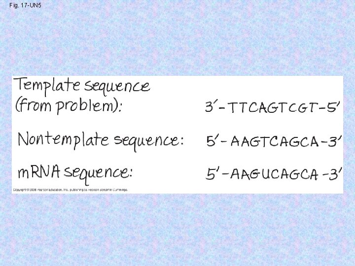 Fig. 17 -UN 5 