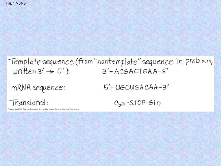 Fig. 17 -UN 6 